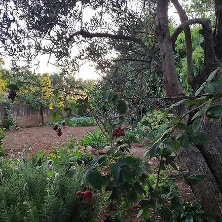 Apartmán With A Parking Space - 18186 Murter