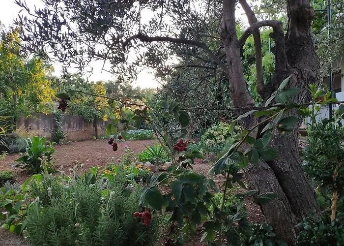 Apartman With A Parking Space - 18186 Murter