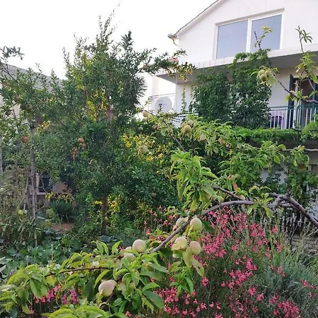 With A Parking Space - 18186 Appartamento Murter